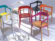 ���������� CG-WS009