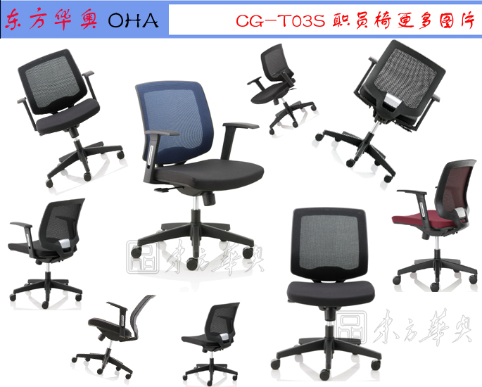 Office Chair|Mesh Staff Chair|Office Furniture|Mesh Staff Chair|�칫�Σ�������